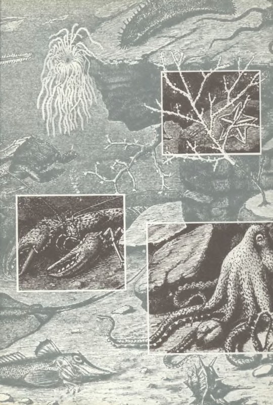 p0003