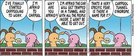 I have a fear of speed bumps, but I'm slowly getting over it Carpool-tunnel-syndrome