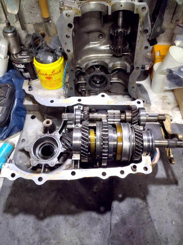 IMG_20250208_170820609