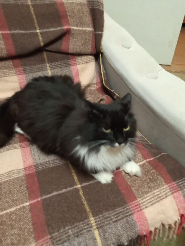 669BAC48-37BC-4AB2-84E0-685410050B31