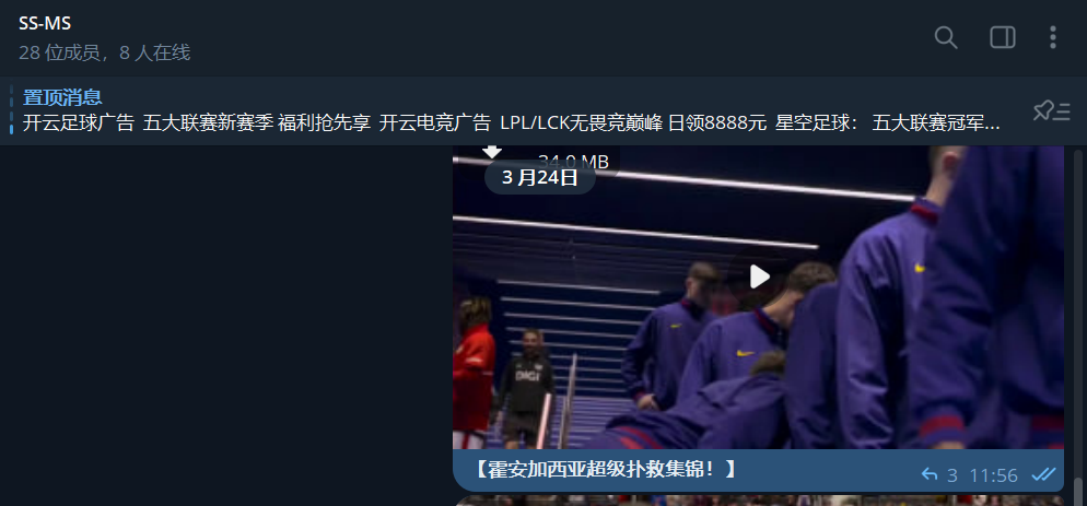 Snipaste 2026 03 31 17 28 07