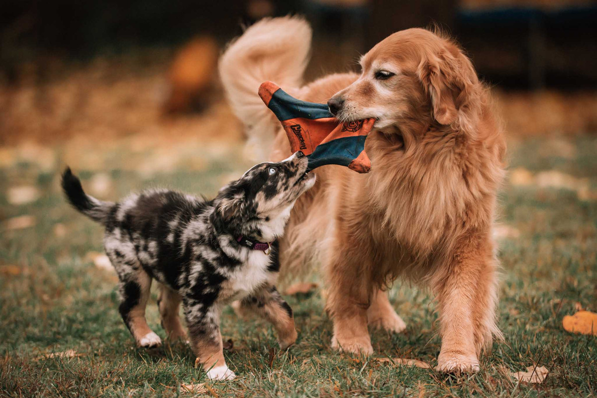 C8839DF6-0C97-4DA6-952B-5F4EC6EEA7C0