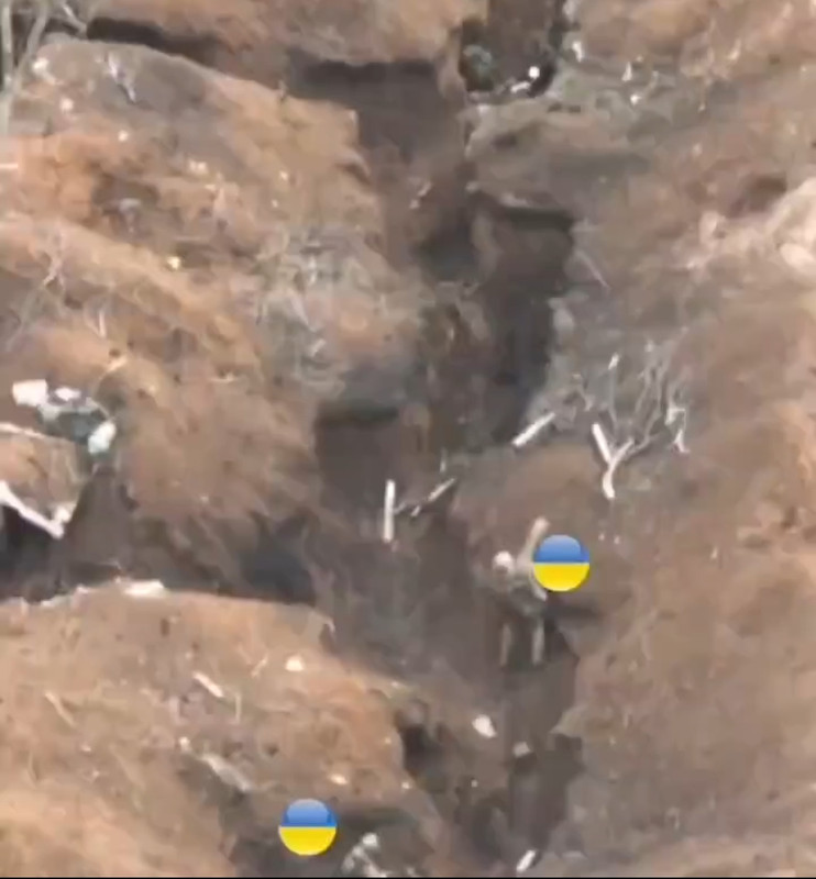 Screenshot_2024-02-28-16-00-16-037_com.twitter.android-edit