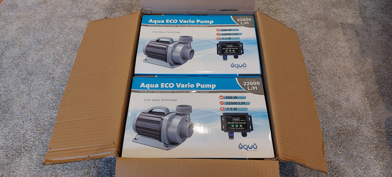 JJ-FA0OQSd-WkXZUcFaIQQ