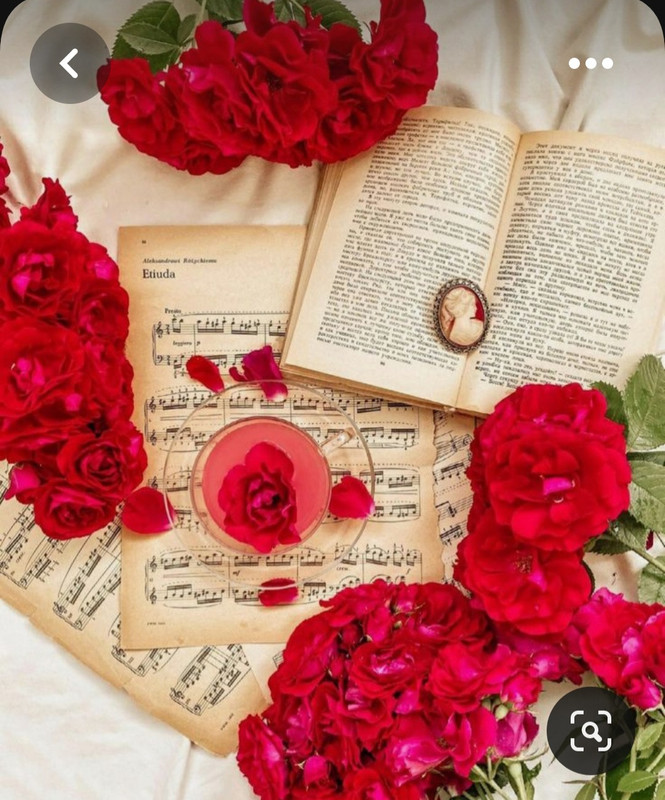 Screenshot_20230705_223555_Pinterest