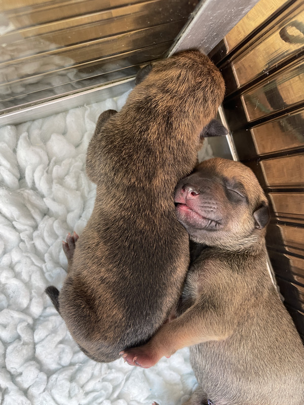 7DEA6B82-70CB-4E40-8226-D9EB2F51A057