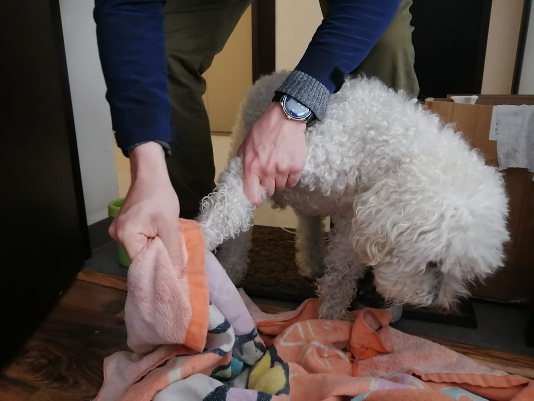 IMG-20200503-WA0005