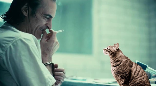 pettherapy.jpg