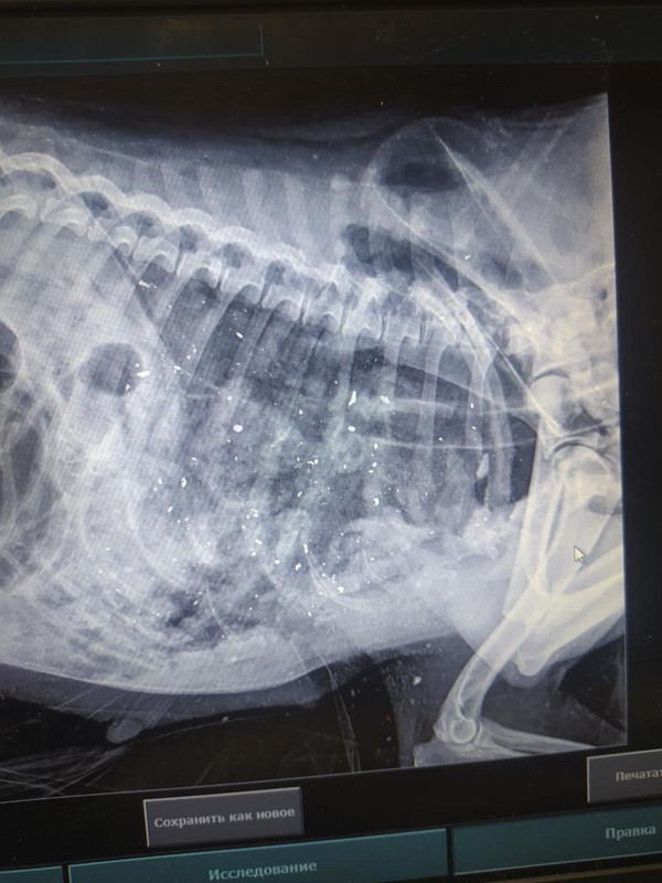 BF6AE480-F4EB-4985-8AD1-1DC11CD147B0