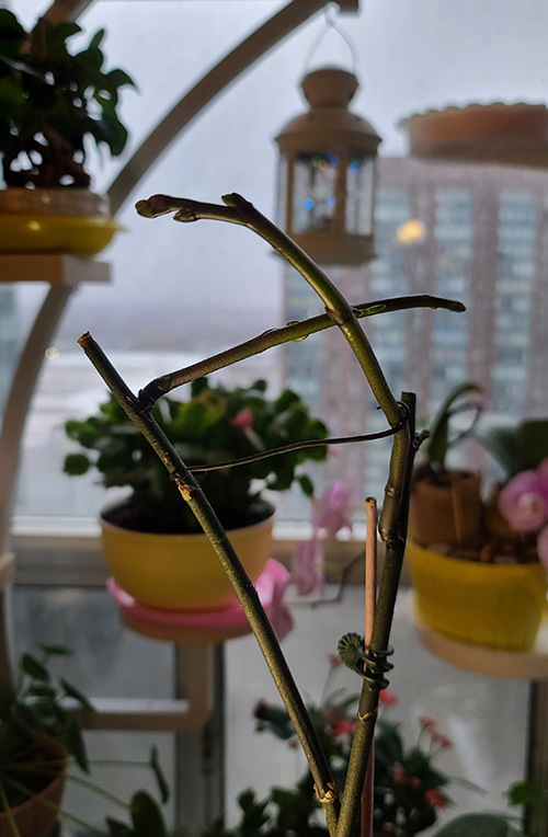 [Image: 20221215-101147.jpg]