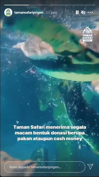 Instastory Taman Safari Prigen yang siap menerima segala macam bentuk donasi untuk satwa.