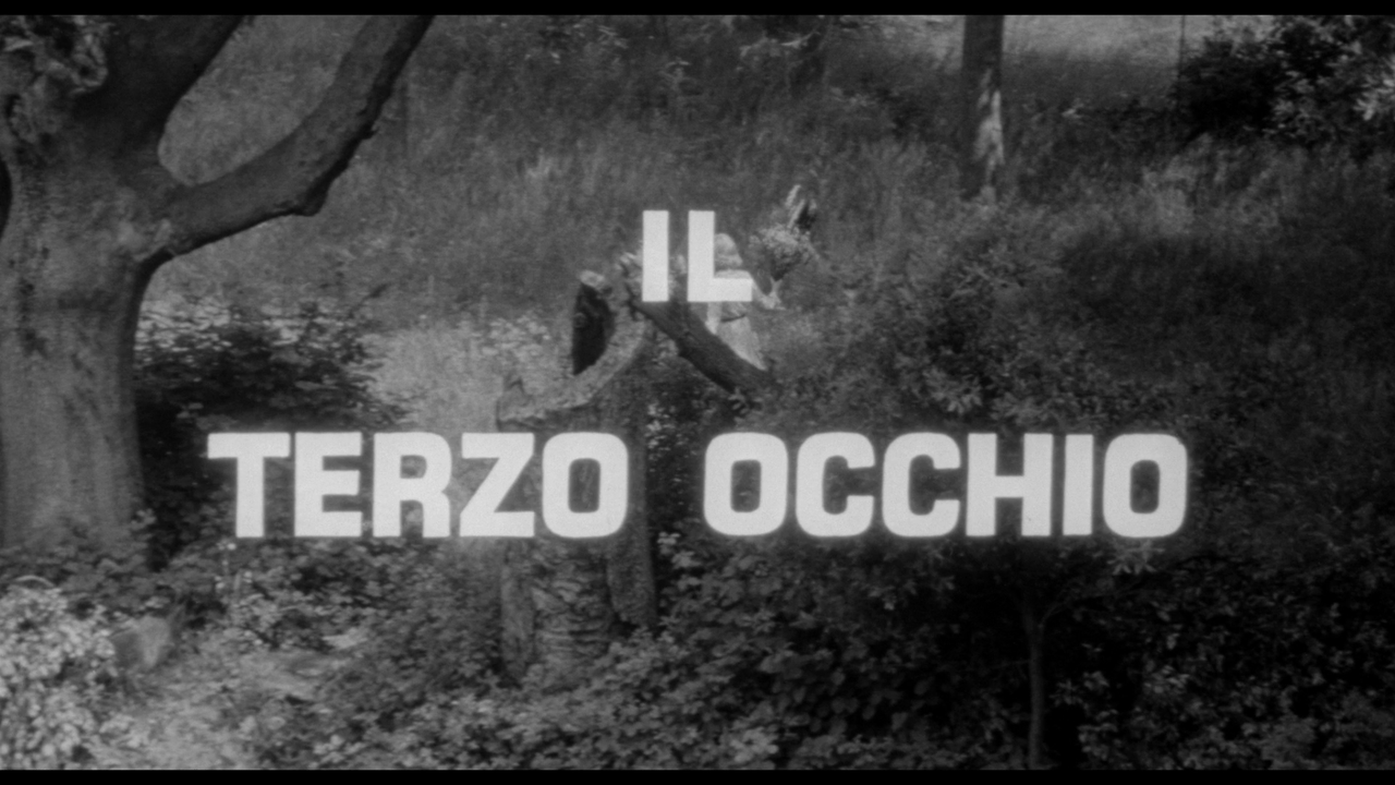 vlcsnap-2023-04-06-20h06m43s136