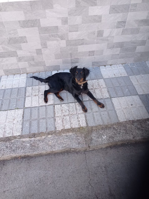 photo_2023-03-24_08-06-55 (6)