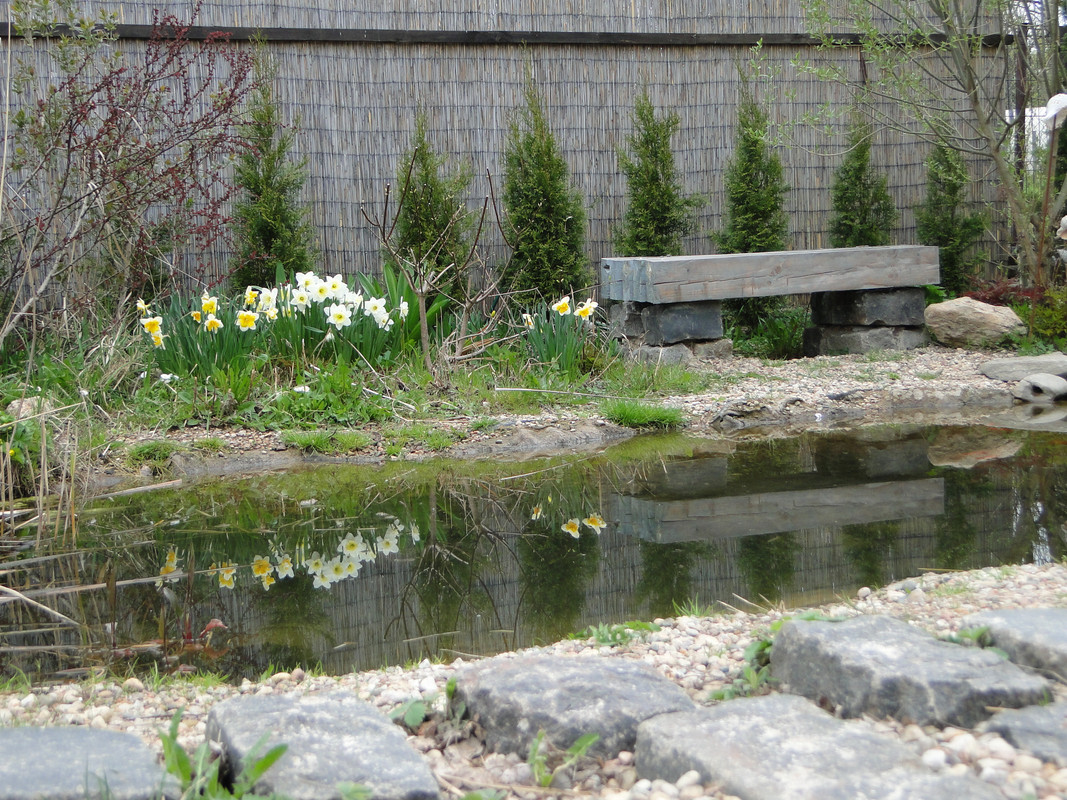 DSC05577