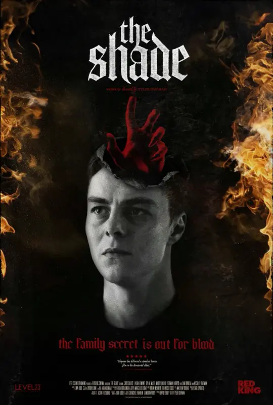 The Shade (2024) Hindi CAMRip x264 AAC 1080p Download