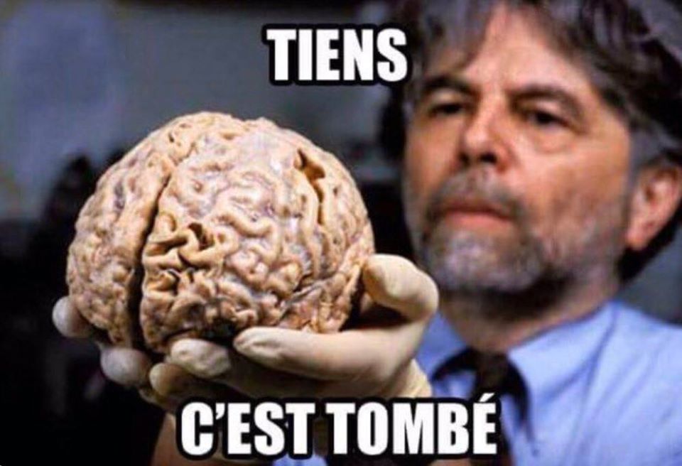 Cerveau tombé