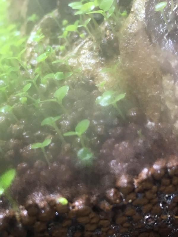 DBB5815E-EA91-4B03-A808-EC84AE2D56F3