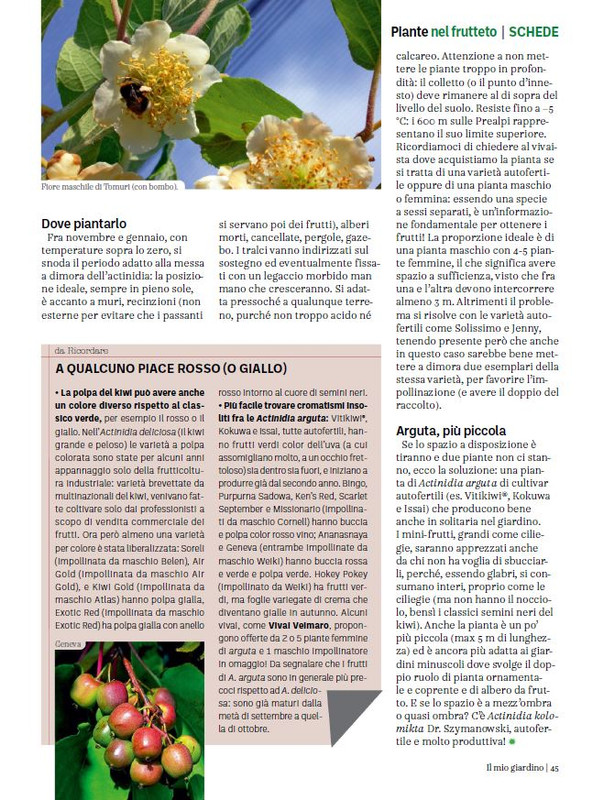 Il Mio Giar Dic 2023-Gen 2024 (10)