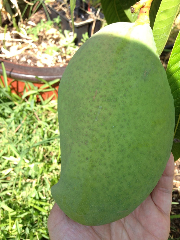 photo(1)
