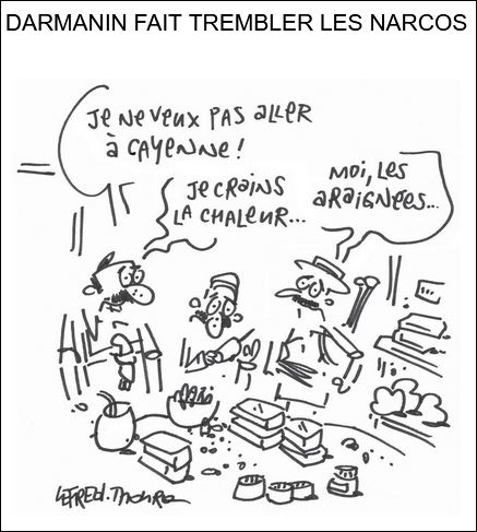 text alternatif