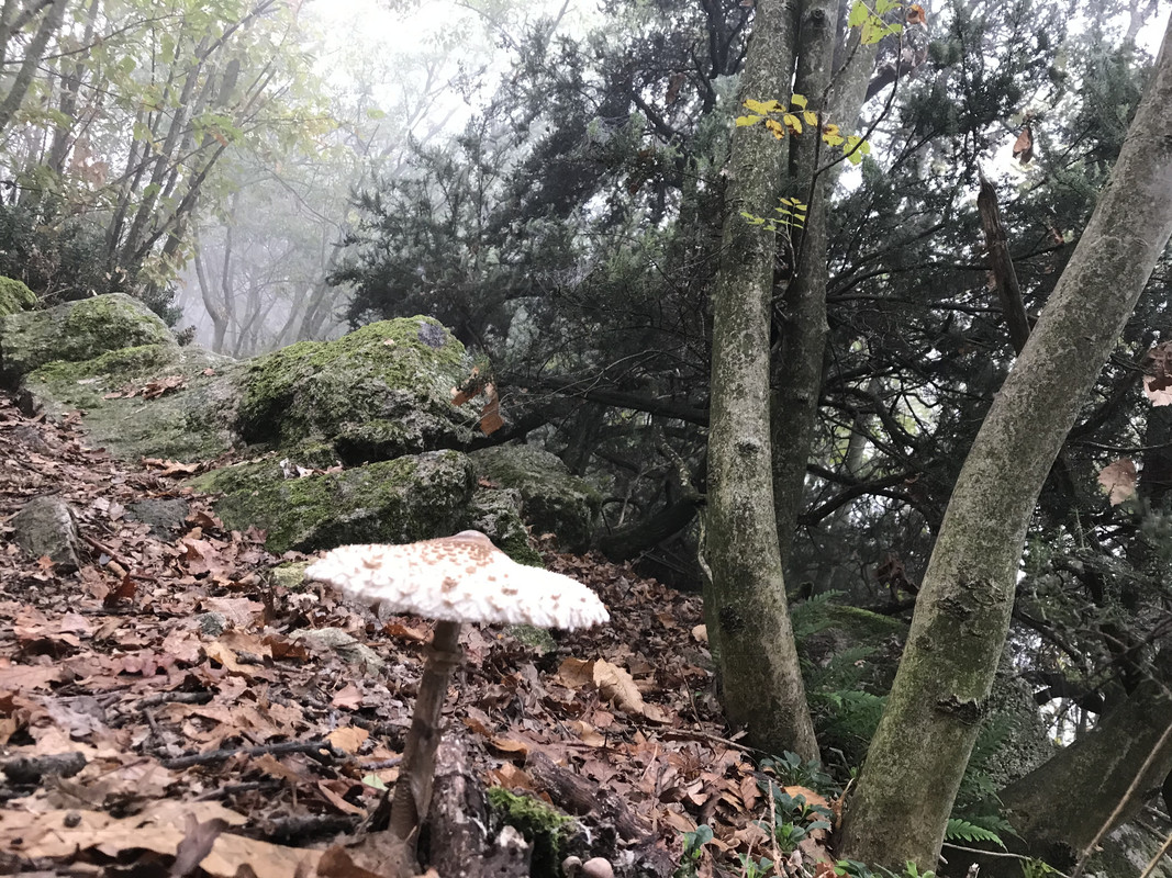 76E6397E-2C23-4E59-8A12-8994E76618E5