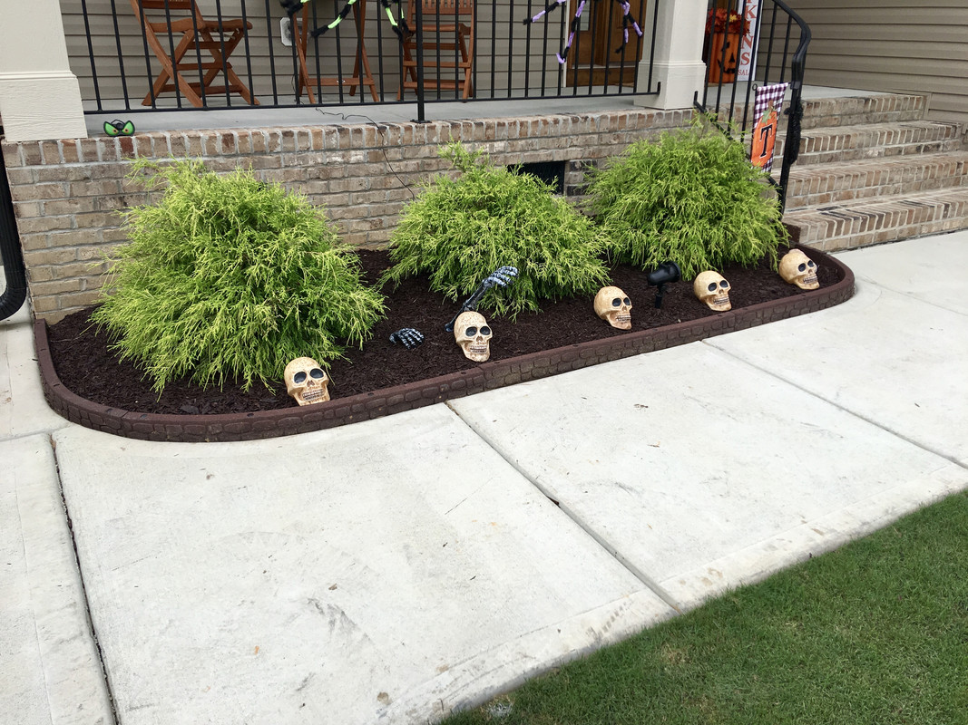 D34104B4-BF1C-4BB5-945F-2A436C66F437