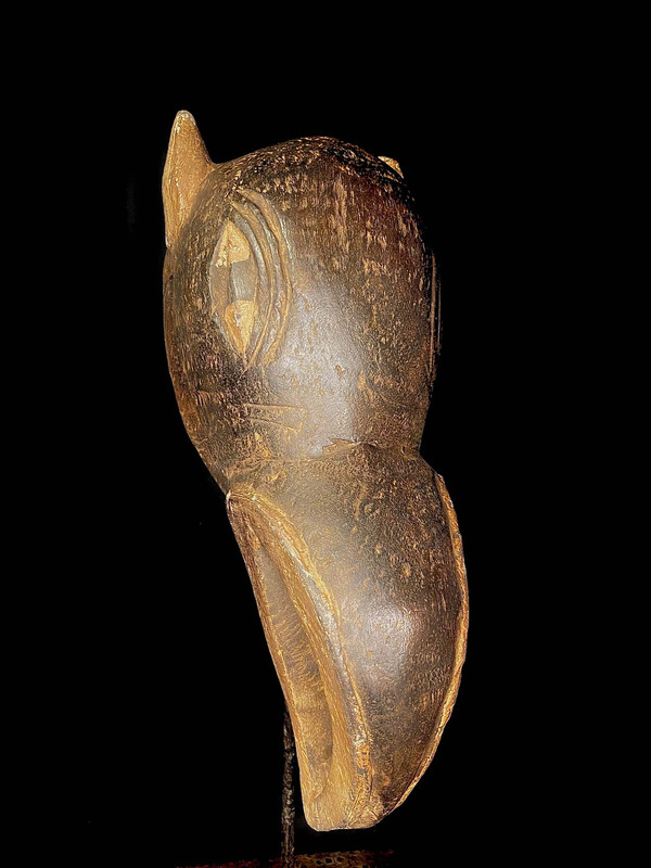 large image 3