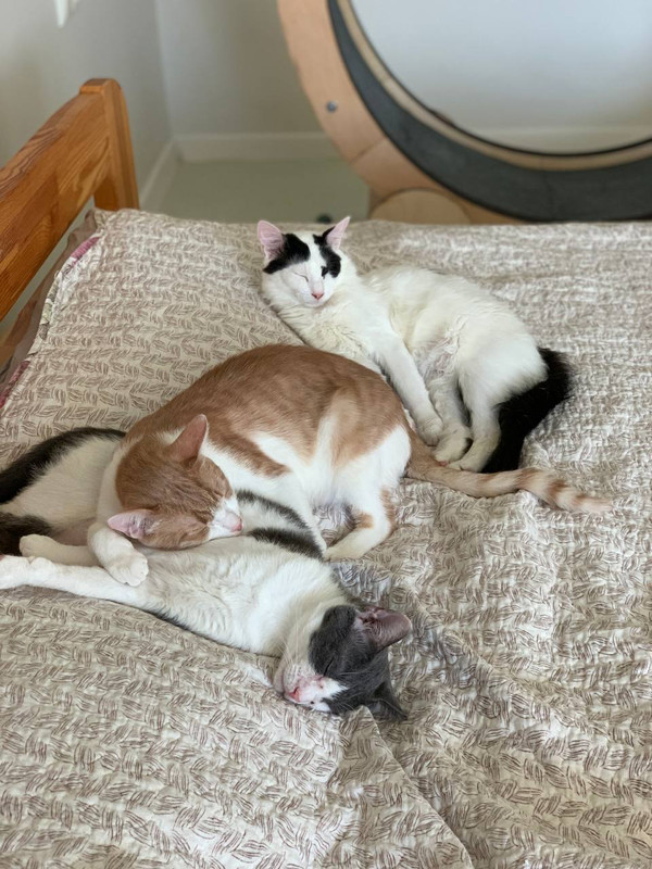 AE534672-6455-4E37-BA64-58F95240F845