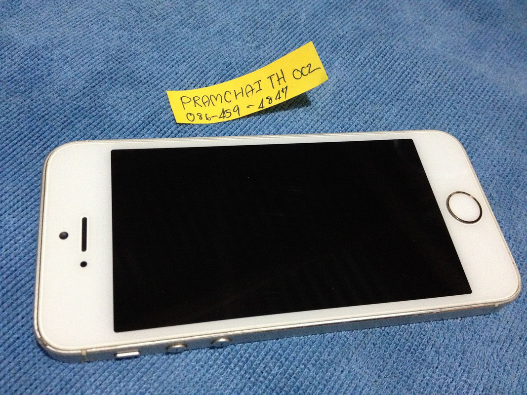 70293080_2236105356515451_5524524563494338560_n