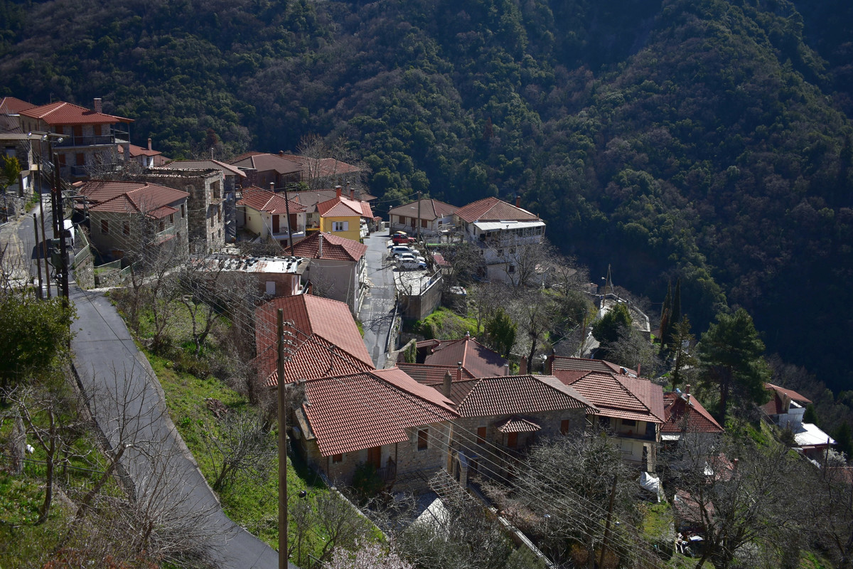 Λαγκάδια (17)