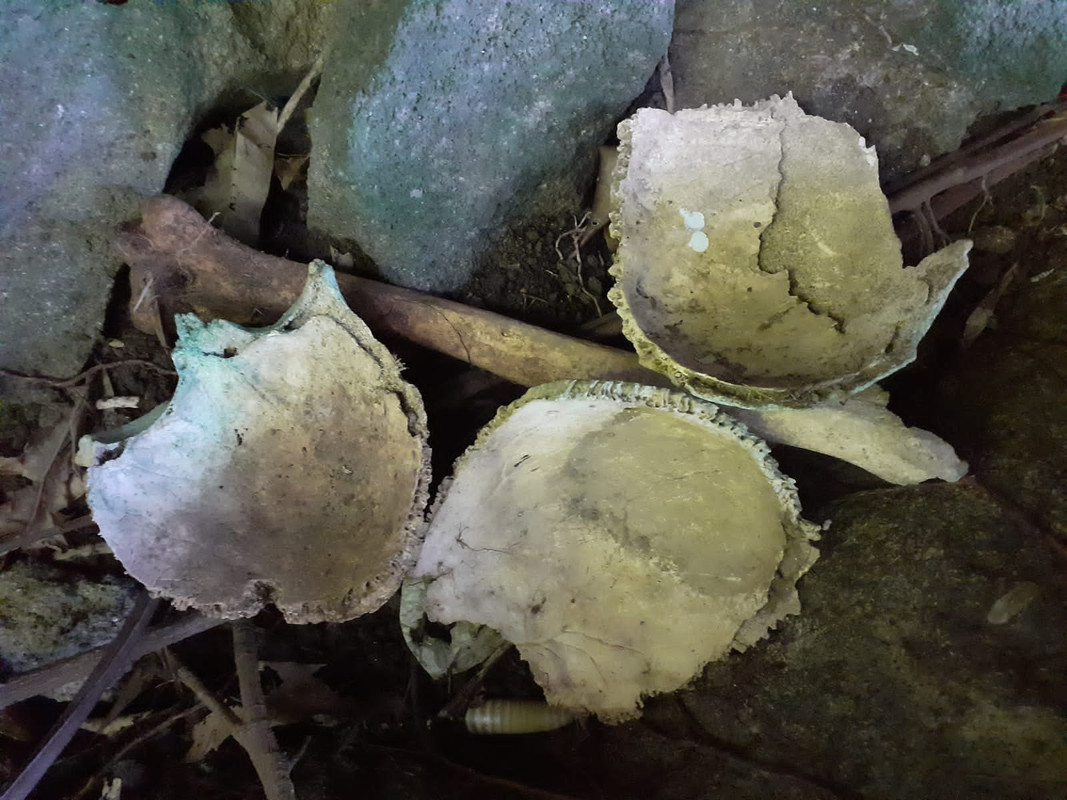 A9C79EB7-5BB5-4567-A83C-C99D8C88B6C2