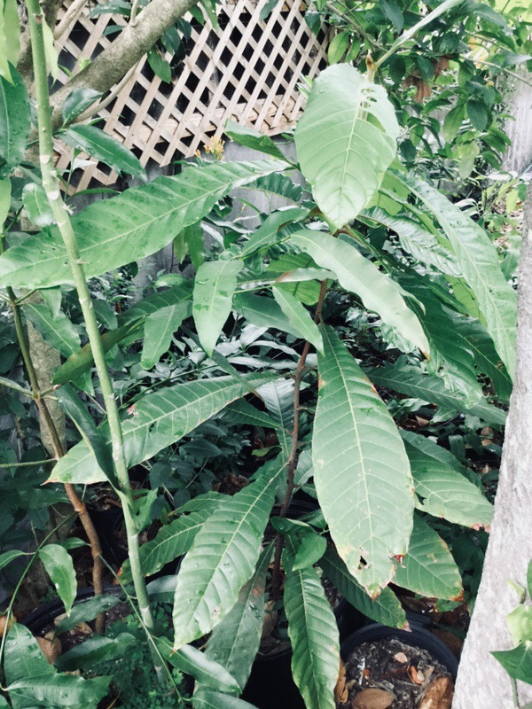 84856D1A-CD72-4596-A855-75FA9D90CF8E