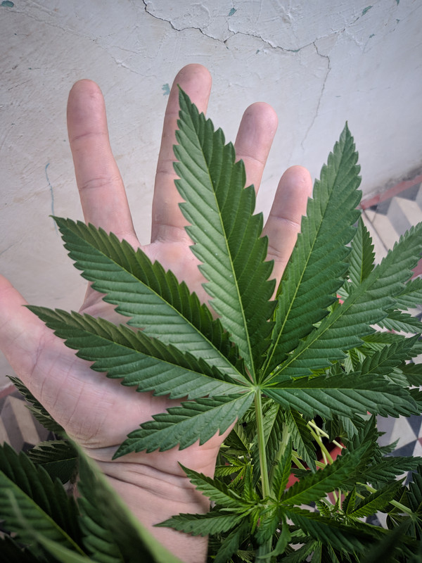 HC_20230111_095702_null