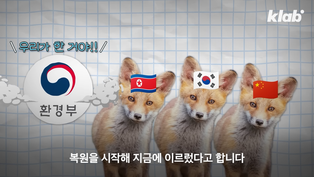 전격 해명_ 대부분 잘못 알고 있다는 토종 여우 복원 스토리｜크랩 4-45 screenshot