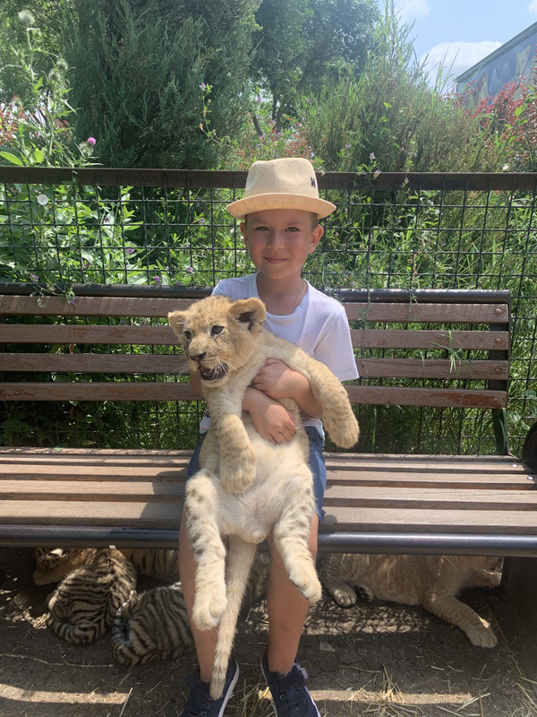 B28FFC43-B953-4813-9070-F9A66C45C1DF