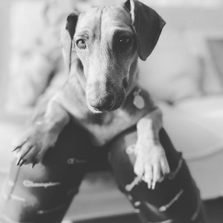 [Image: CE1-DA39-E-9650-40-E1-8-A5-A-2043-E165-B234.jpg]