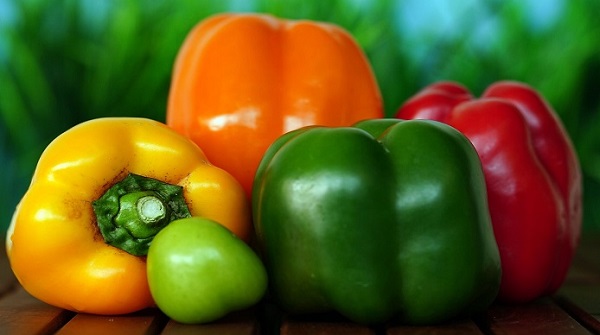 Can Rabbits Eat Capsicum