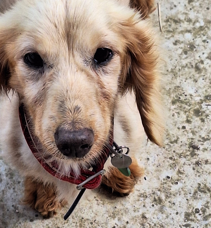 [Image: 20240415-114727.jpg]