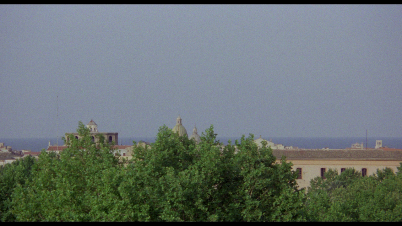 vlcsnap-2024-01-24-21h37m50s556