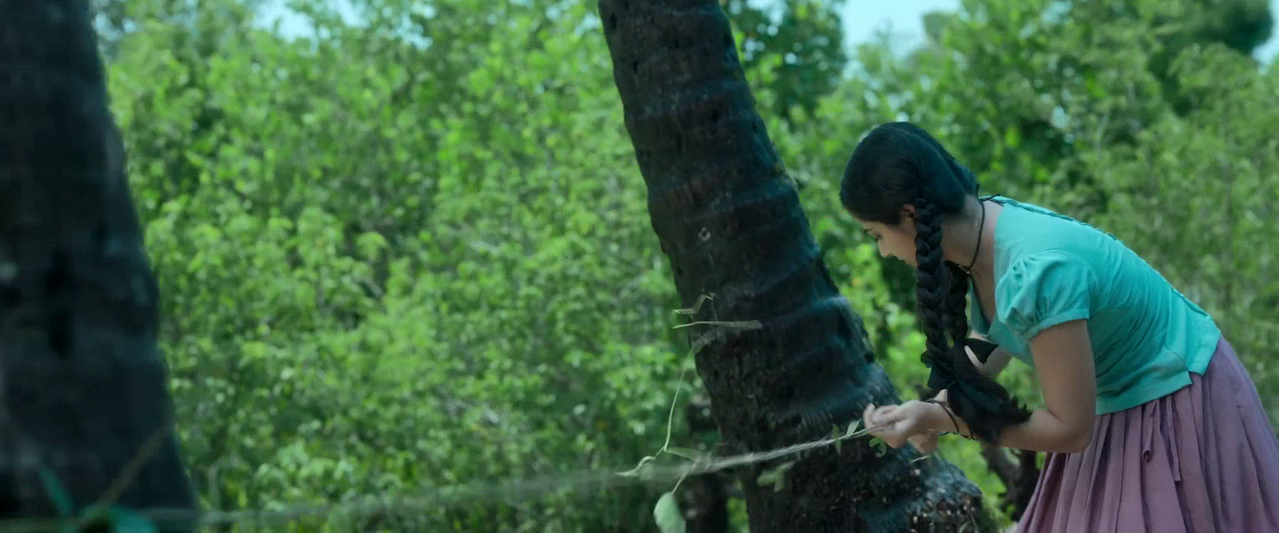 vlcsnap 2026 02 14 09h32m54s812