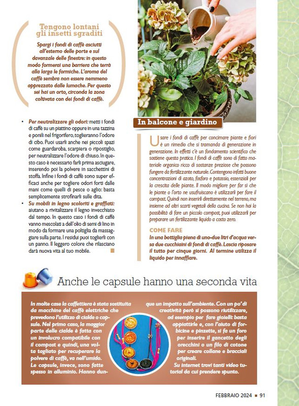 Sal Nat Feb 2024 (12)