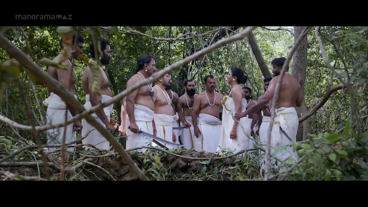 vlcsnap 2026 02 06 17h21m38s099