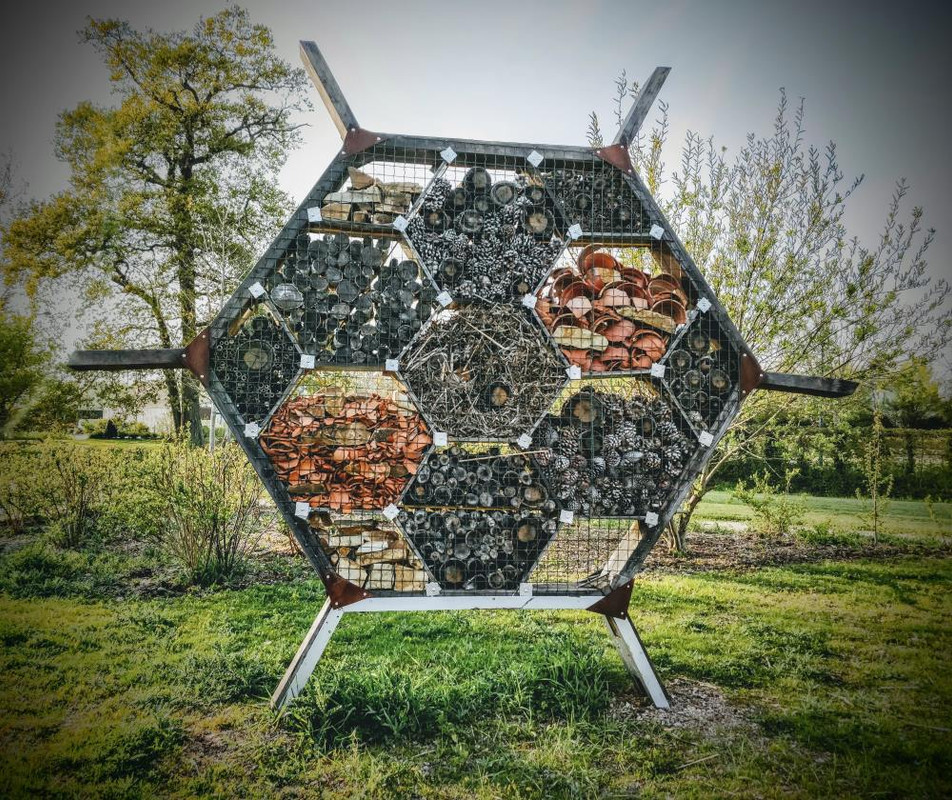 bug hotel