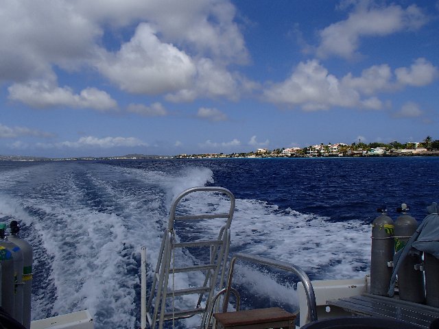 BONAIRE - Buceo+ Snorkel + Relax - Blogs de Caribe - Buceo en Calabas y The Lake. Snorkel. (2)