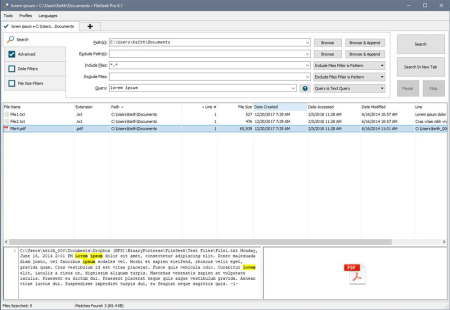 FileSeek Pro 6.7 Multilingual