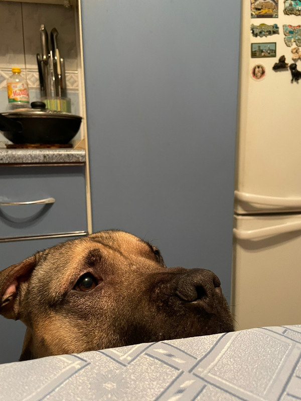 2B9625E0-087F-4A71-8FCB-D7082ECA7EB7