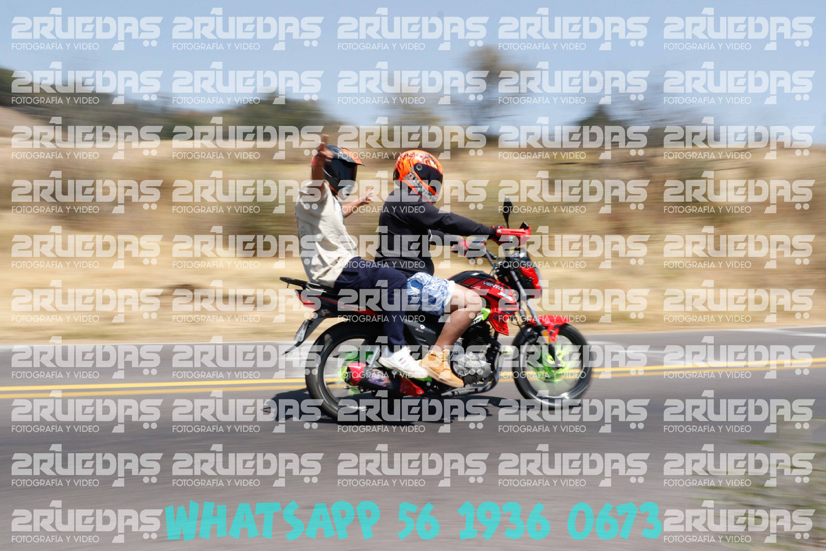 MG 0949 — Postimages