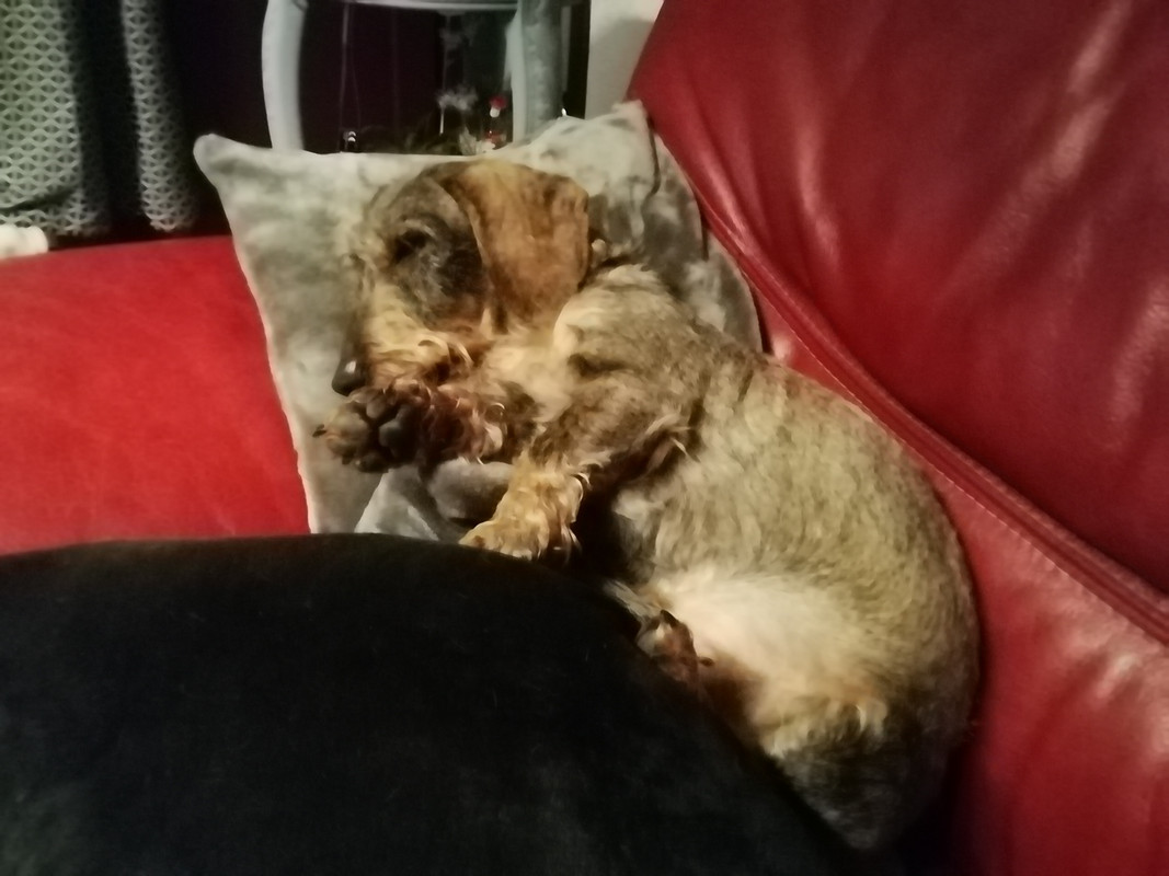 [Image: IMG-20210330-215608.jpg]