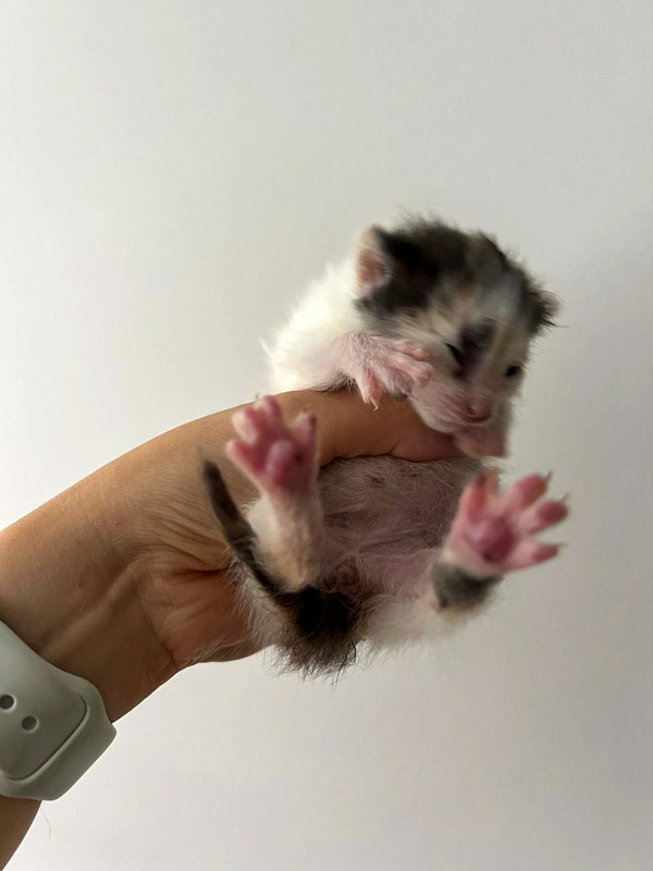 43F16AAA-871B-4416-A8AB-72B40770974A