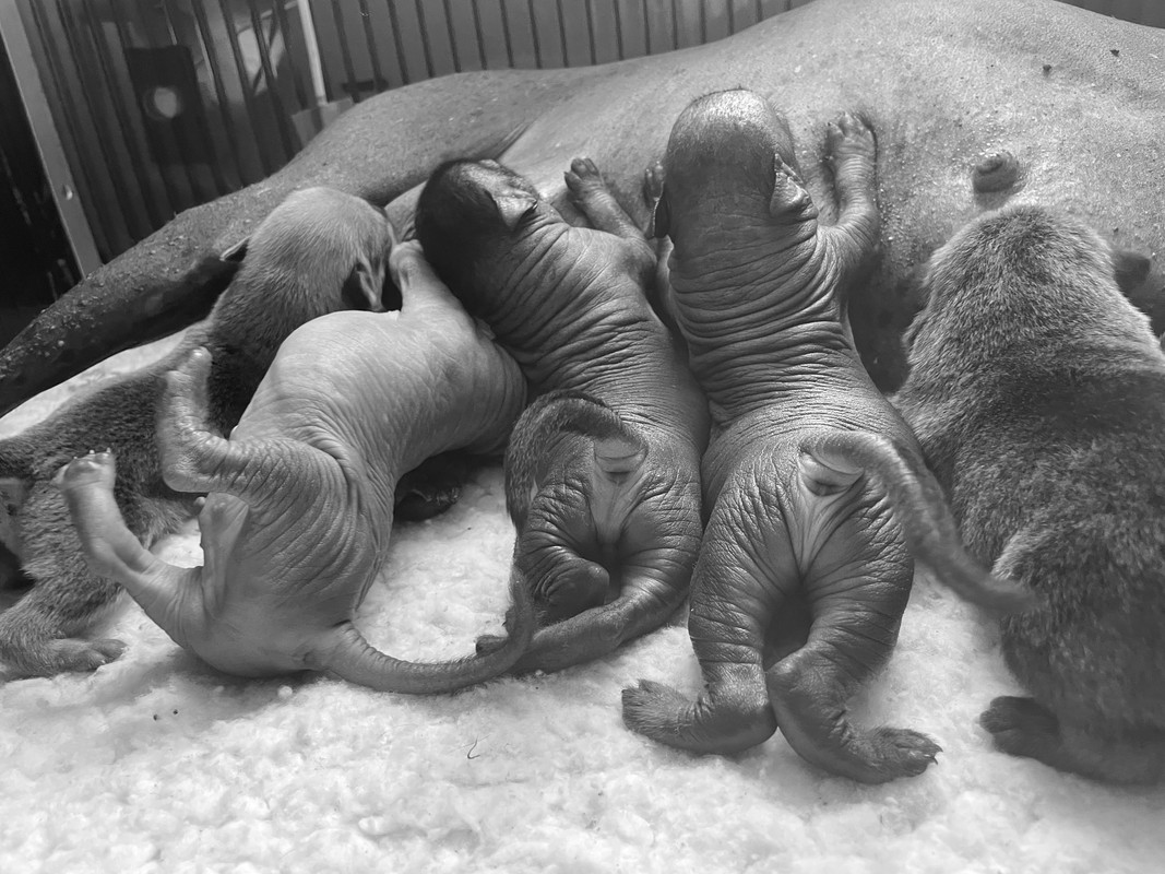 91E02E17-8E68-4073-9E3E-93DE7BEDE699_1_201_a